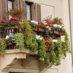 Articoli da leggere